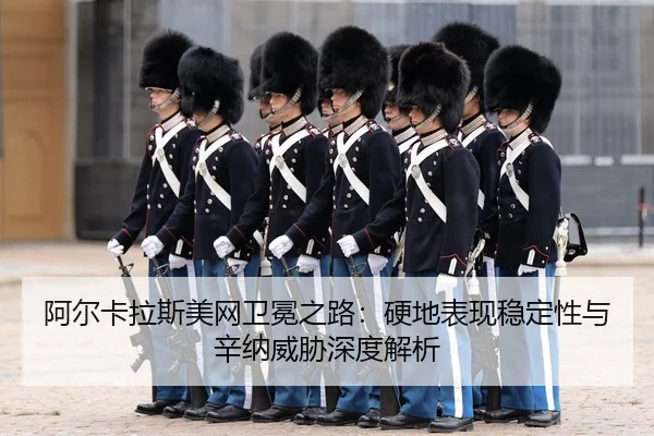 a-er-ka-la-si-mei-wang-wei-mian-zhi-lu-ying-di-biao-xian-wen-ding-xing-yu-xin-na-wei-xie-shen-du-jie-xi-3-376.jpg