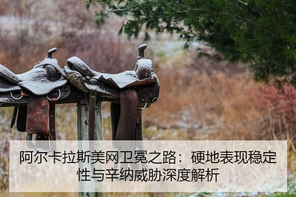 阿尔卡拉斯美网卫冕之路：硬地表现稳定性与辛纳威胁深度解析