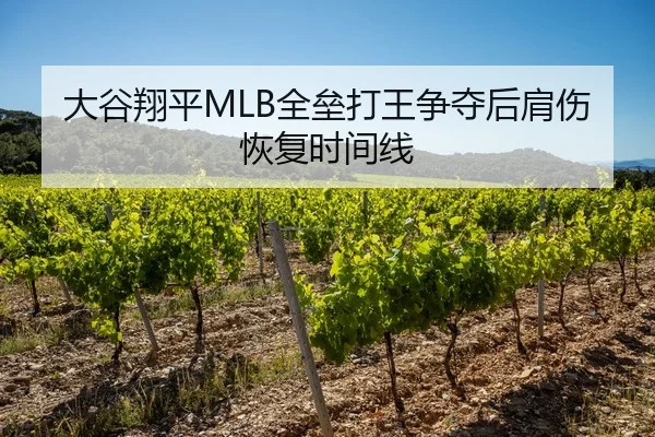 大谷翔平MLB全垒打王争夺后肩伤恢复时间线