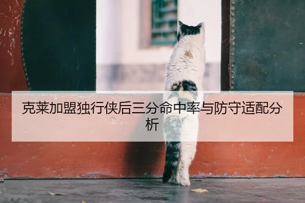 克莱加盟独行侠后三分命中率与防守适配分析