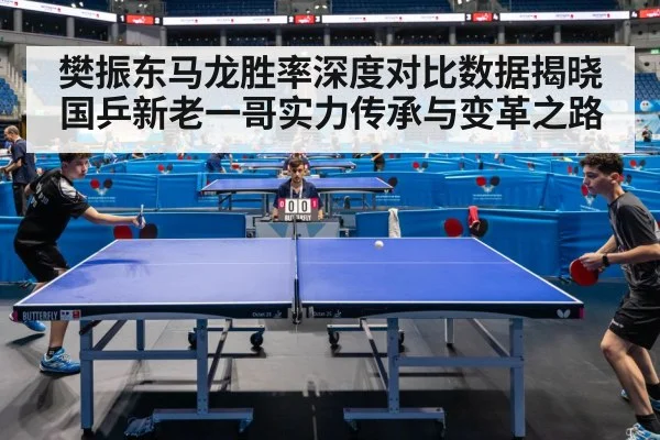 樊振东马龙胜率深度对比数据揭晓 国乒新老一哥实力传承与变革之路